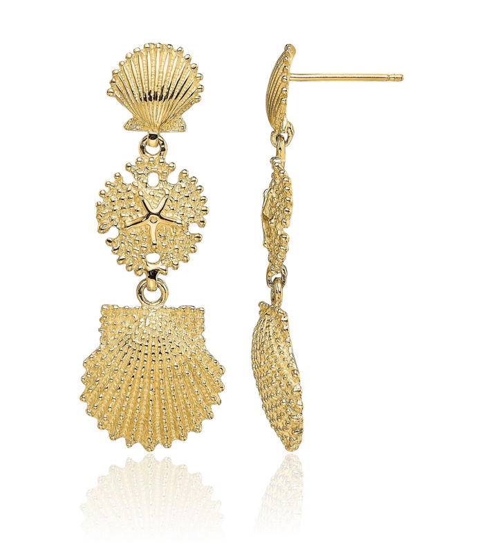 14K Solid Yellow Gold Scallop Sand Dollarscallop Drop Dangle Earrings