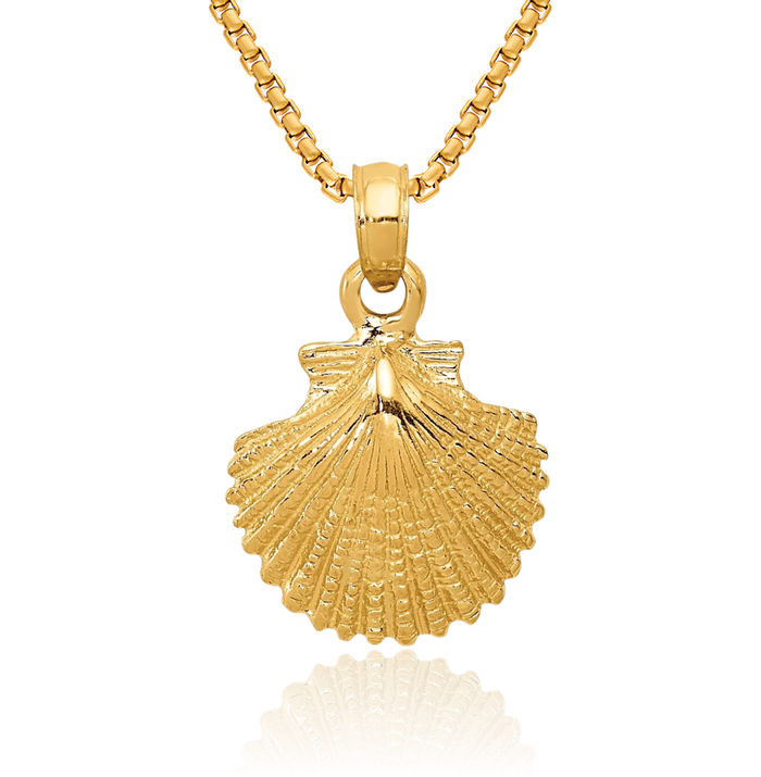 14K Solid Yellow Gold Scallop Shell Necklace Chain Pendant Charm