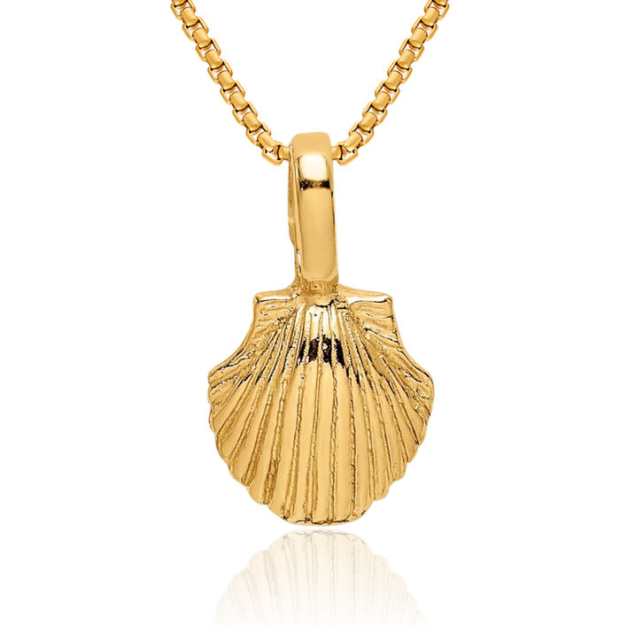 14K Solid Yellow Gold Scallop Shell Necklace Chain Pendant Charm