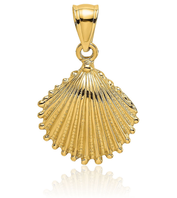 14K Solid Yellow Gold Scallop Shell Necklace Chain Pendant Charm