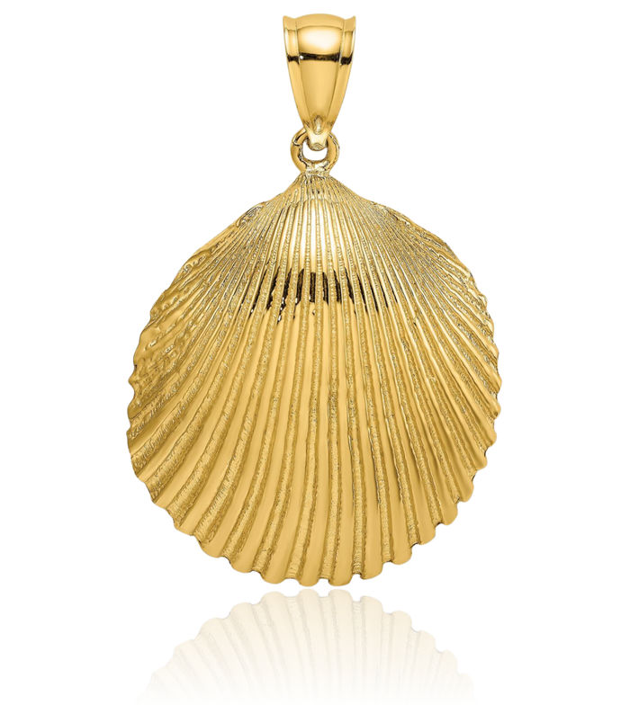 14K Solid Yellow Gold Scallop Shell Necklace Chain Pendant Charm