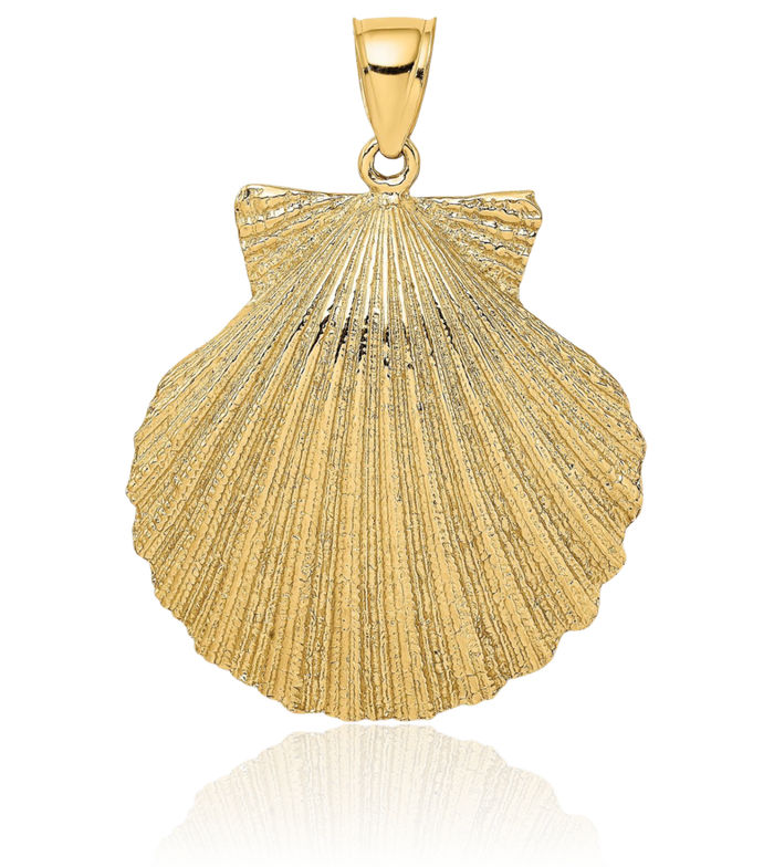 14K Solid Yellow Gold Scallop Shell Necklace Chain Pendant Charm