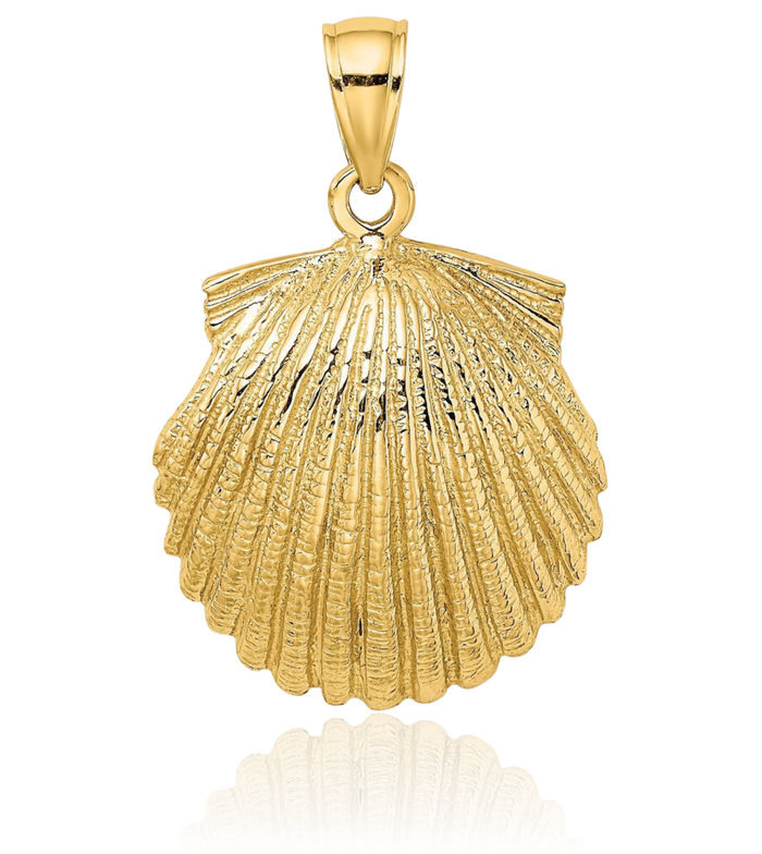 14K Solid Yellow Gold Scallop Shell Necklace Chain Pendant Charm