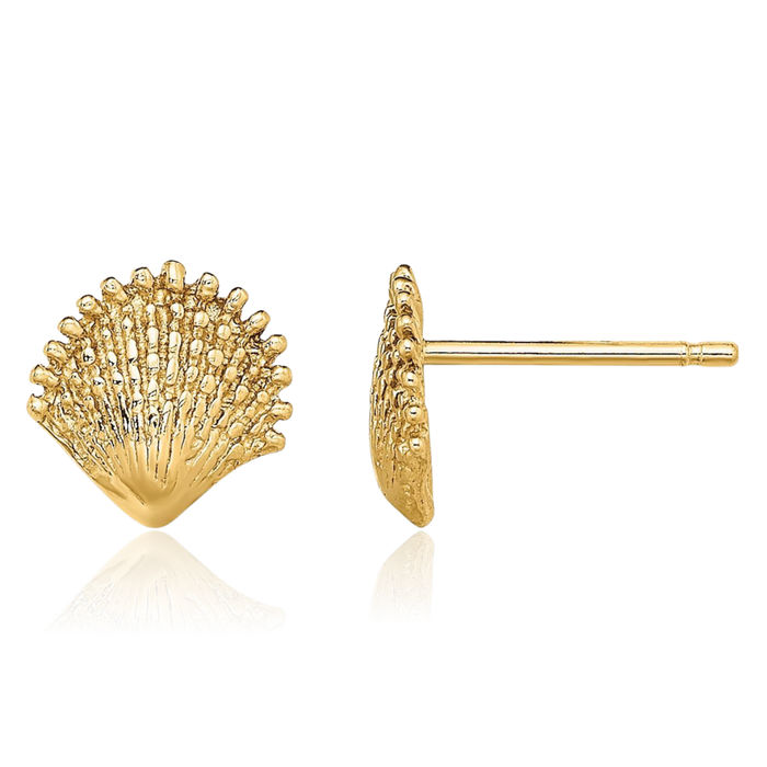 14K Solid Yellow Gold Scallop Shell Stud Earrings