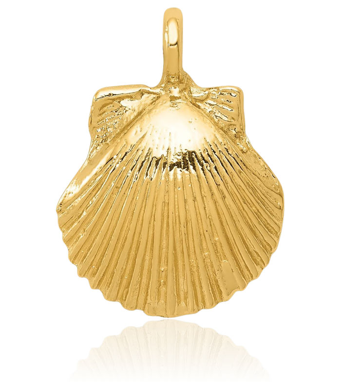 14K Solid Yellow Gold Seashell Necklace Chain Pendant Charm