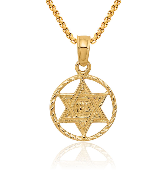 14K Solid Yellow Gold Star of David Jewish Magen Circle Round Necklace Judaica Religious Chain Pendant Israel Charm