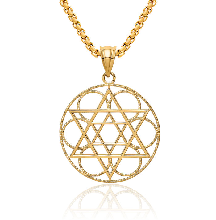 14K Solid Yellow Gold Star of David Jewish Magen Circle Round Necklace Judaica Religious Chain Pendant Israel Charm