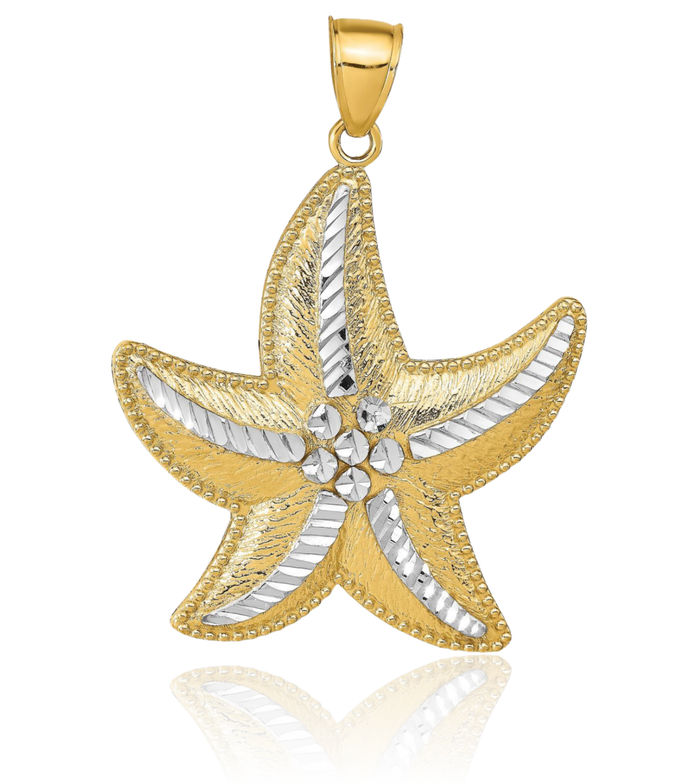 14K Solid Yellow Gold Starfish Necklace Chain Pendant Charm