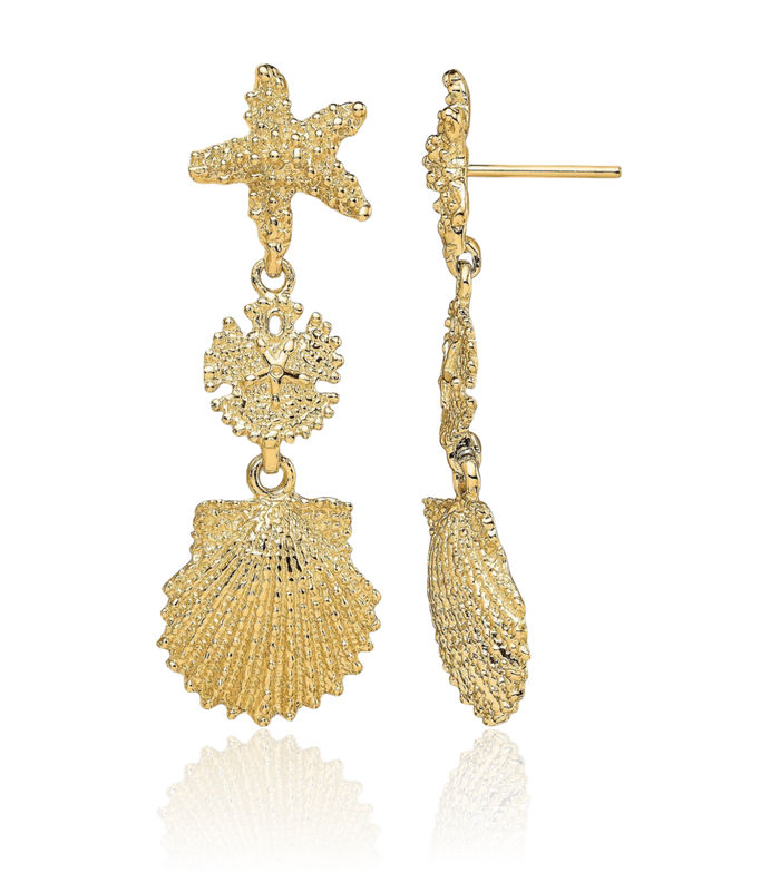 14K Solid Yellow Gold Starfish Sand Dollar Sea Star Scallop Shell Drop Dangle Earrings