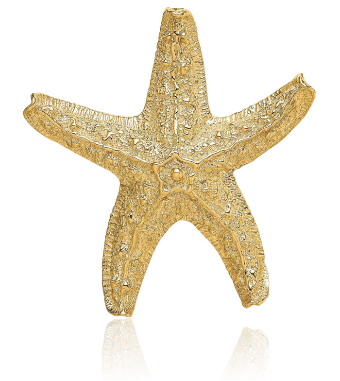 14K Solid Yellow Gold Starfish Slide Necklace Chain Pendant Charm