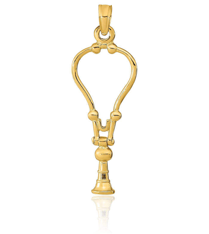 14K Solid Yellow Gold Stethoscope Nurse Caduceus Paramedic Doctor Medical Student Nursing Symbol Necklace Chain Pendant Charm