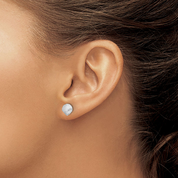 14K Solid White Gold Scallop Shell Stud Earrings