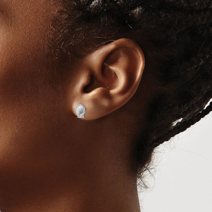 14K Solid White Gold Scallop Shell Stud Earrings