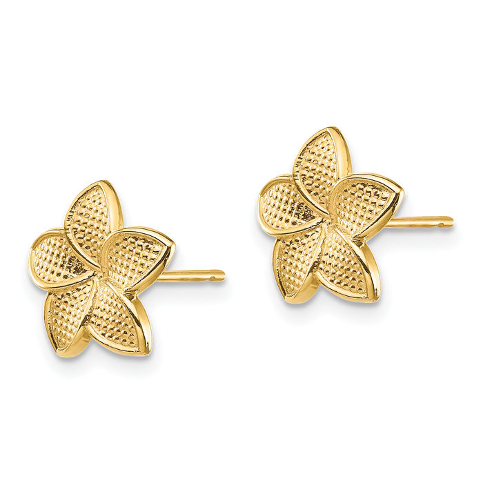 14K Solid Yellow Gold Hawaiian Plumeria Flower Stud Earrings