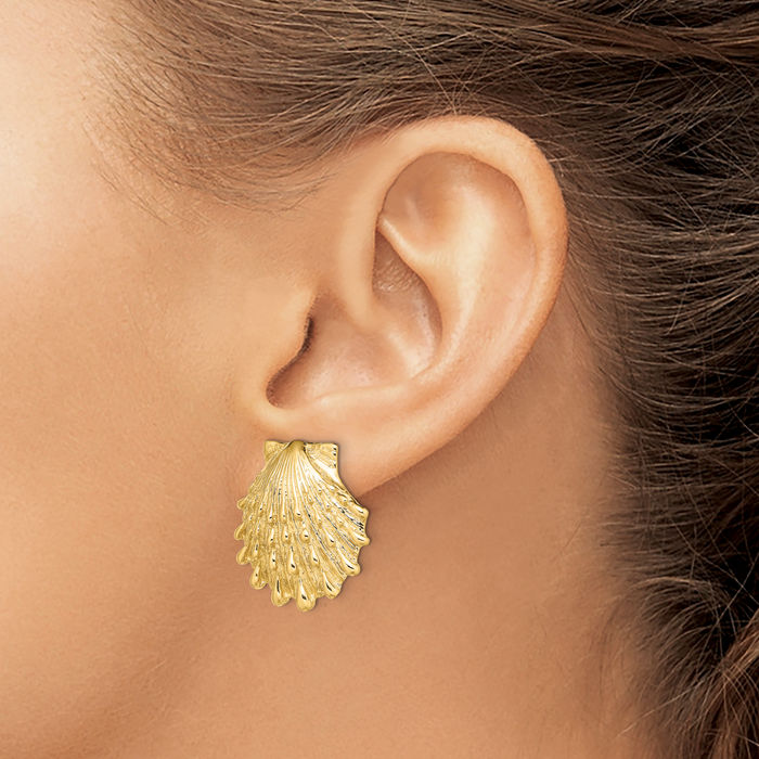 14K Solid Yellow Gold Lions Paw Scallop Shell Stud Earrings