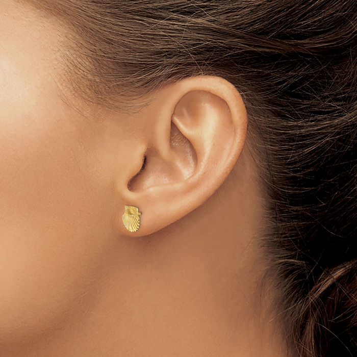 14K Solid Yellow Gold Scallop Shell Stud Earrings