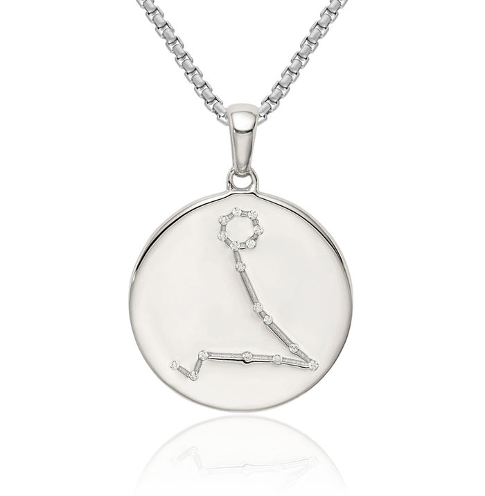 925 Sterling Silver Cubic Zirconia CZ Pisces Zodiac Necklace Fish Horoscope Pendant February March Birthday Charm Astrology Jewelry