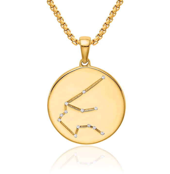 925 Sterling Silver Gold Plated Cubic Zirconia CZ Aquarius Zodiac Necklace Water Bearer Horoscope Pendant January February Birthday Charm Astrology Jewelry