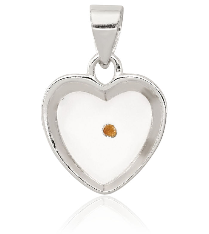 925 Sterling Silver Mustard Seed Heart Necklace Love Pendant Charm