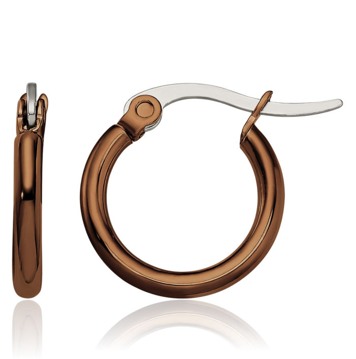 Stainless Steel Brown 15.5mm 2mm Small Hoop Earrings