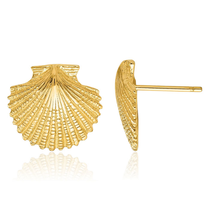 14K Solid Yellow Gold Scallop Shell Stud Earrings